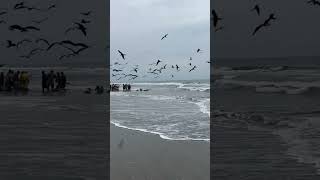 Artisanal beach fishing San Clemente Ecuador [upl. by Lecram]