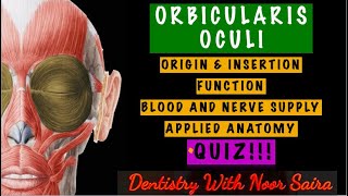 ORBICULARIS OCULI SIMPLIFIEDORIGIN INSERTION FUNCTION INNERVATION APPLIED ANATOMY [upl. by Hsan]