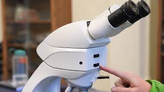 The Petrographic Microscope [upl. by Stutsman]