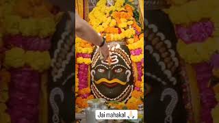 Jai mahakal ujjain mahadev [upl. by Libove]