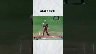 Chris Gayle best six CricketFrenzy975 [upl. by Lindsy]