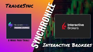 Synchronize TraderSync with Interactive Brokers daytrade stocks [upl. by Lorn]