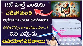 How to improve GUT health  what is prebiotic amp probiotic capsules  indigestion  pharmaamphealth [upl. by Calia]