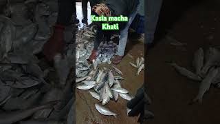 Kasia macha khati🐠🐳🦐fishingvideo fishing fish vlog [upl. by Dnomse]