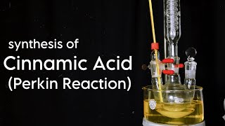 Cinnamic Acid  Organic Synthesis  Perkin Reaction [upl. by Mada]