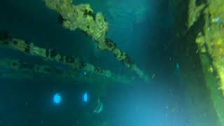 Underwater shipwreck exploration  SS Thistlegorm part 3 [upl. by Asseniv14]