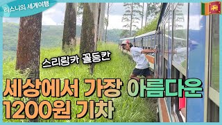 세계에서 가장 아름답다는 스리랑카 꼴등칸 낭만의 기차여행 EP62 스리랑카🇱🇰 [upl. by Marchese323]