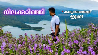 നീലക്കുറിഞ്ഞി 24  ഇടുക്കി 💜  One Day Cycling To Idukki  220 kms  Kalyanathandu Hills [upl. by Githens893]