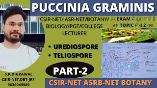 PUCCINIA GRAMINIS  UREDOSPORE STAGE  RUST DISEASE [upl. by Goulden]