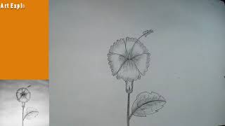 Joba Ful Drawing  How to draw Hibiscus 🌺 Easy Technique🌺 [upl. by Ttergram]