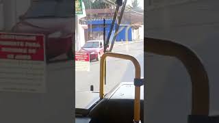 CIRCULANDO PELA CIDADE busologia onibussp busologiaoficial onibus onibuscaio [upl. by Tsan]