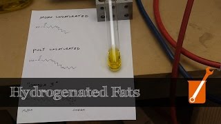 Hydrogenation transform liquid oil into solid fat [upl. by Lombardo]