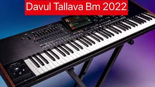 TALLAVA DAVUL RITMA Bm 2022 [upl. by Nylloh]