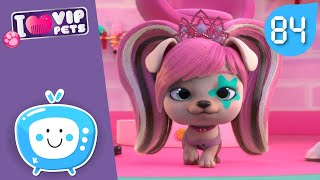 GLAMOUR VIP PETS 🤩😎 NEW Collection 🌈 Full Episodes ✨ CARTOONS for KIDS in ENGLISH [upl. by Neel695]