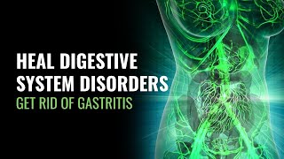 Heal Digestive System Disorders  Get Rid of Gastritis  Detox Out Your Digestive Tract  528 Hz [upl. by Akinet]