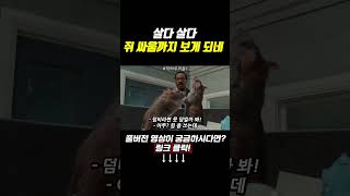 살다 살다 쥐 싸움까지 보게 되네 ㅋㅋㅋ movie movieclips film 영화리뷰 영화 닥터두리틀1 [upl. by Ahsieket]