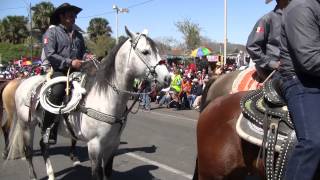 Charro Days Grand International Parade Upload 1 of 5 [upl. by Hazard111]