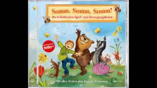 Laurentia  Summ Summ Summ Die beliebtesten Spiel und Bewegungslieder [upl. by Trstram]