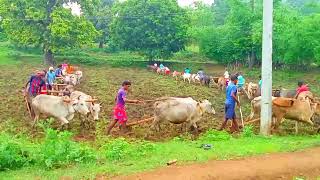 New Malto video 2023Bangla Kaldam pahadJharkhand ✍🏻 [upl. by Dnalevets]