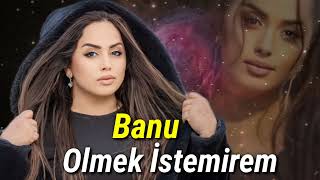 Banu  Olmek İstemirem Official Audio Music [upl. by Stretch]