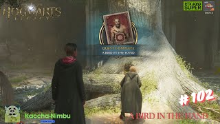 HOGWARTS LEGACY  A BIRD IN THE HAND  NVIDIA RTX 4080 SUPER  AMD R7 5800X [upl. by Lavoie]