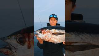 He caught a Blackfin TUNA from a KAYAK tuna tunafishing [upl. by Ahsienauq]