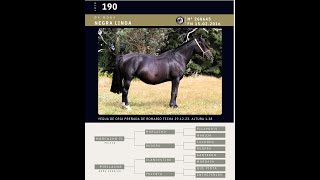 190 NEGRA LINDA [upl. by Yorick968]