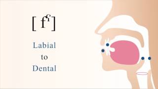 fˁ  unvoiced pharyngealized labiodental non sibilant fricative [upl. by Mcneely226]