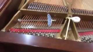 Why Wont My Piano Stay in Tune [upl. by Greenman]