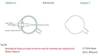 Figure 24 Chapter 7 [upl. by Annodas]