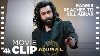 ANIMAL SCENE 23 Ranbir Reaches To Kill Abrar🔪  Ranbir K Bobby Deol Sandeep V Bhushan K [upl. by Kenley33]