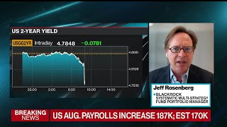 US Labor Market Is Normalizing Says BlackRock’s Rosenberg [upl. by Etnahc]