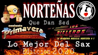 Conjunto Primavera Ft Rieleros Del Norte Mix Norteñas Que Dan Sed Edit 2020  Sax Pala Raza Vip [upl. by Zil139]