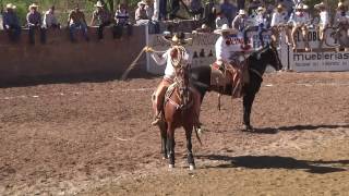 Charreada 3 Potrillos en Tlaltenango Zacatecas [upl. by Terrel]