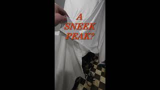 Sneek Peak Reveal of Custom Harley Davidson Motorcycle motovlog shorts view watch reveal [upl. by Shirah]