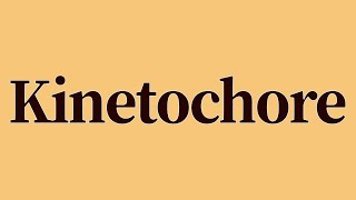 Kinetochore Meaning and Definition [upl. by Annaerdna]