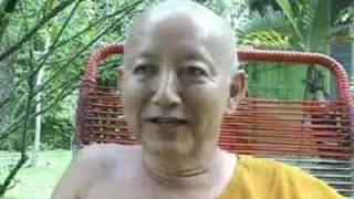 Ven Dhammavuddho 28  More criticisms of Mahayana teachings [upl. by Stillas]