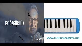 Melodika Eğitimi  Zülfü Livaneli  Ey Özgürlük Melodika [upl. by Gomer]