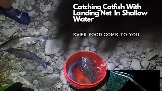 Catching Catfish With Landing Net In Shallow Water Olentangy River￼ [upl. by Nabi685]