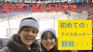 めっちゃ面白い！初めてのアイスホッケー観戦！ビクトリア ロイヤルズ！canada victoria workingholiday アイスホッケー icehockey カナダ ビクトリア [upl. by Eceinahs]