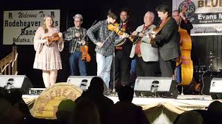 2022 Palatka Bluegrass Festival Orange Blossom Special with Kevin Prater Band [upl. by Blossom]