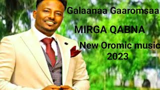 Galaana GaaromsaaINJIFANNOO New Ethiopian Oromoo Music 2023 offical video [upl. by Sirois]