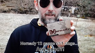 Hornady SST 12 gauge Slugs Any good [upl. by Durrell]