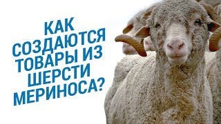 🐑 Как создаются товары из шерсти мериноса  Преимущества товаров из шерсти мериноса  Декатлон [upl. by Allina]