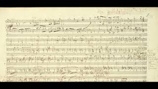 BeethovenLiszt Eroica Symphony 1st movement 3rd movement and 4th movement Autograph Manuscript [upl. by Putnem]