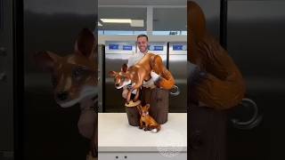 Chocolate Fox 🦊  mini woodtoywoodworking art skill handcrafts  shorts trending [upl. by Ewall380]