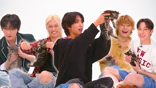 Stray Kids The Kitten Interview [upl. by Anreval]