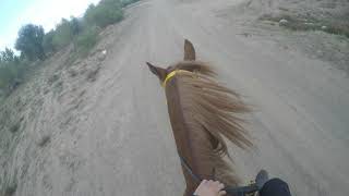 Atlı Safari  Binicilik  GoPro Horse Riding  Safari [upl. by Hester]