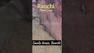 📍NH 33 Ormanjhi Ranchi explorepage ranchimerijaan ranchimerijan ormanjhi snake house [upl. by Nickolai596]