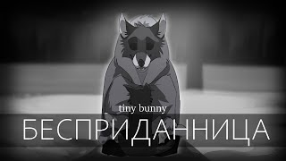 Бесприданница  Tiny Bunny  PMV [upl. by Kuth542]